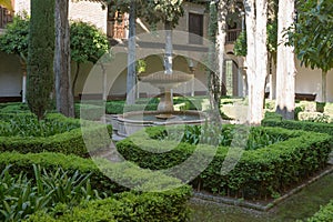 Alhambra Moresque gardens, Granada photo