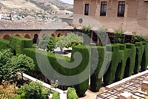 Alhambra palace garden, Granada, Andalusia, Spain