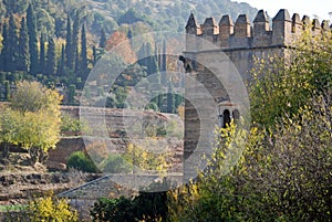 Alhambra Terraced Hillside