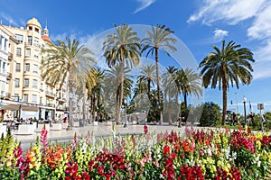 Alicante Alacant town city boulevard Esplanada d`Espanya travel traveling holidays vacation in Spain photo