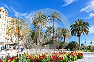 Alicante Alacant town city boulevard Esplanada d`Espanya travel traveling holidays vacation in Spain photo