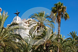 Alicante La Explanada buildings with plam trees in Valencia photo