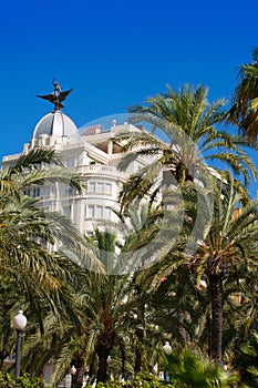 Alicante La Explanada buildings with plam trees in Valencia photo