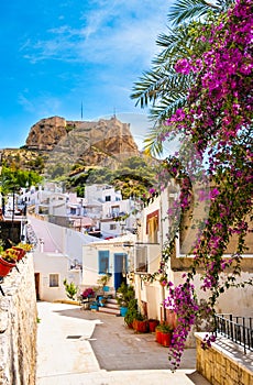 Alicante old town and Santa Barbara Castle. Narrow street with white houses and purple flowers on hillside in ancient photo