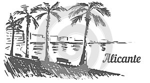 Alicante palm promenade sketch. Alicante, Spain hand drawn illustration