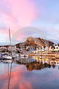 Alicante Port d`Alacant marina with boats and view of castle Castillo evening travel traveling holidays vacation portrait format photo