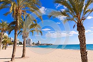 Alicante San Juan beach of La Albufereta