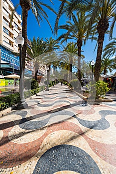 View of alley of palm trees in Alicante