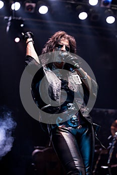 Alice Cooper  during the concert