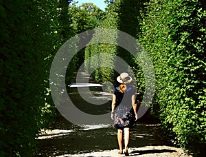 Women between hedgerows