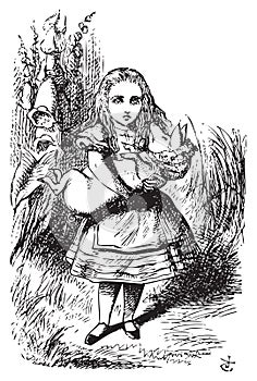 Alice and the pig baby - Alice`s Adventures in Wonderland original vintage engraving