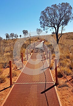 Sentiero nel deserto australiano photo