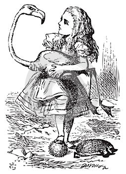 Alice trying to play croquet with flamingo and hedgehog - Alice`s Adventures in Wonderland original vintage engraving