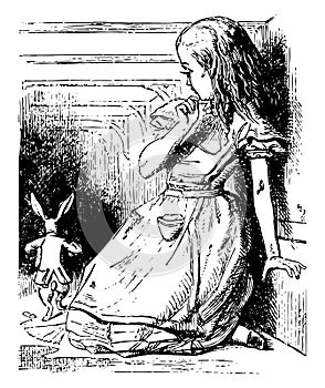 Alice Watches the White Rabbit Run Away vintage illustration