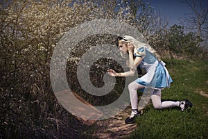 Alice in Wonderland photo