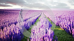 Alien with butterflies in lavender field. concept of UFO. Realistic 4k animation.