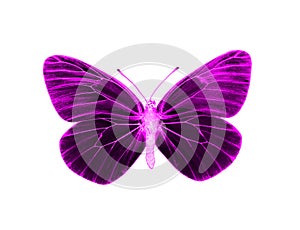 Alien butterfly