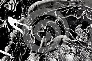 Alien creature attack in space