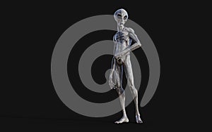 Alien on dark background with clipping path.