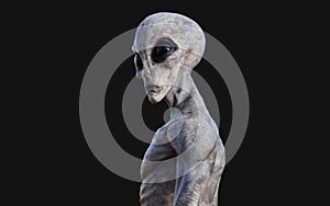 Alien on dark background with clipping path.