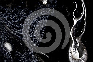 Alien from the depth of the sea