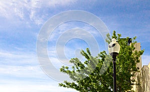 Alien Face Street Light In Roswell New Mexico