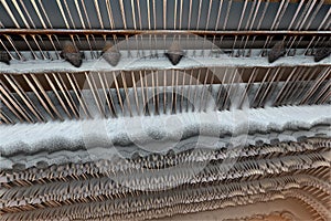 Alien fractal structure