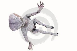 alien isolatad on white background