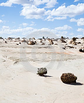 Alien moonscape Lake Mungo Australia