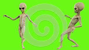 Alien sneaks on green screen