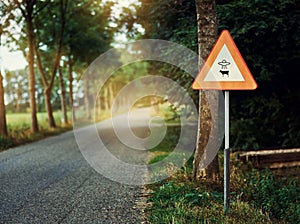 Alien, spaceship sign and road in forest for UFO warning, science fiction and space abduction. Area 51, travel and