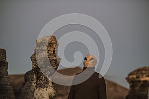 Alien ufo portrait with moon landscape in background. Standing extraterrestrial people on planet earth in outdoor scenic place.