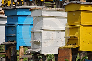 Aligned bee hive