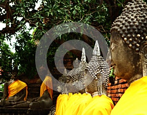 Aligned buddha statue in Ayutthaya