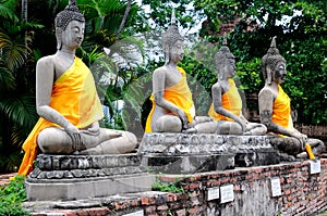 Aligned buddha statues