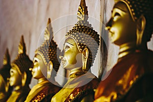 Aligned Buddha statues