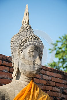 Aligned buddha statues
