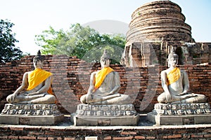 Aligned buddha statues