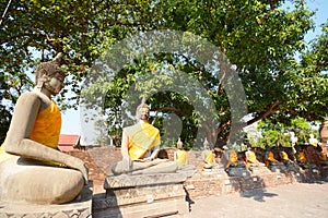 Aligned buddha statues