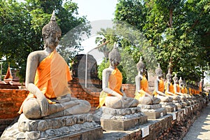 Aligned buddha statues