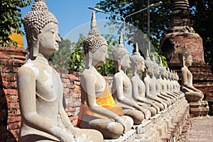 Aligned buddha statues