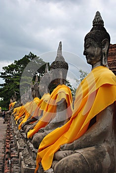 Aligned Buddha statues at Ayutthaya, Thailand.