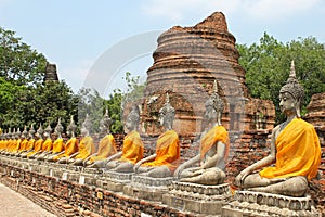 Aligned buddha statues with orange bands