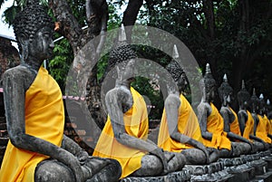 Aligned Buddha statues Thailand.