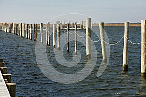 Aligned Empty Boat Slips/Piles in the Bay