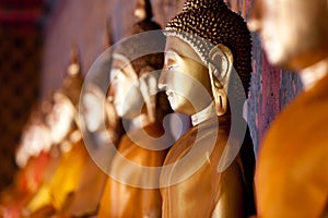 Aligned gold buddha photo