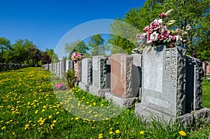 Aligned headstones in a cemetary