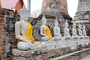 Aligned Sitting Buddha Statues