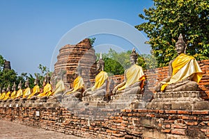 Aligned statues of Buddha Asia