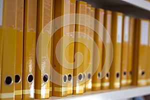 Aligned yellow binders